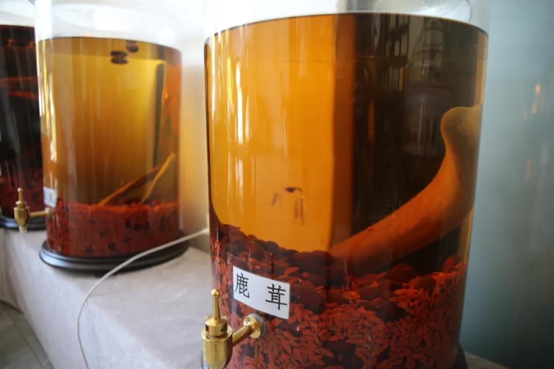 高颜值+高价值！梅花鹿产业激发乡村振兴新活力~